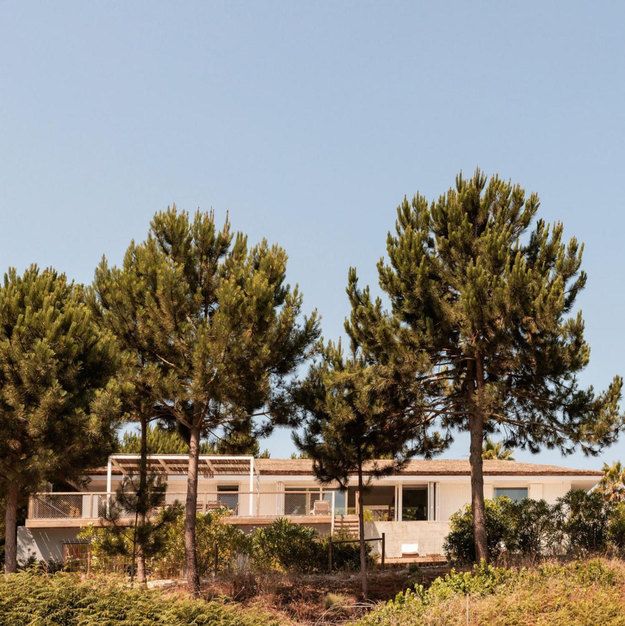 Campo de Arroz Carvalhal (Grandola) Exterior foto
